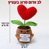 לב אדום סרוג בעציץ – פרטים נוספים; הכרטיס המצורף באנגלית