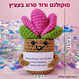 סוקולנט ורוד סרוג בעציץ – פרטים נוספים; הכרטיס המצורף באנגלית