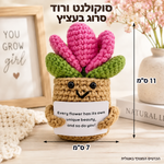 סוקולנט ורוד סרוג בעציץ – תמונת המוצר; הכרטיס המצורף באנגלית