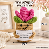 סוקולנט ורוד סרוג בעציץ – תמונת המוצר; הכרטיס המצורף באנגלית