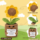 חמנייה סרוגה בעציץ – פרטים נוספים; הכרטיס המצורף באנגלית