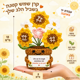 שלוש חמניות סרוגות בעציץ – תמונת המוצר; הכרטיס המצורף באנגלית