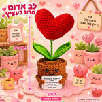 לב אדום סרוג בעציץ – תמונת המוצר; הכרטיס המצורף באנגלית