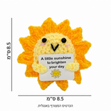 שמש מחייכת סרוגה – פרטים נוספים; הכרטיס המצורף באנגלית