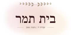 Beit Tamar