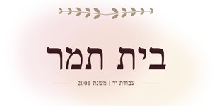 Beit Tamar